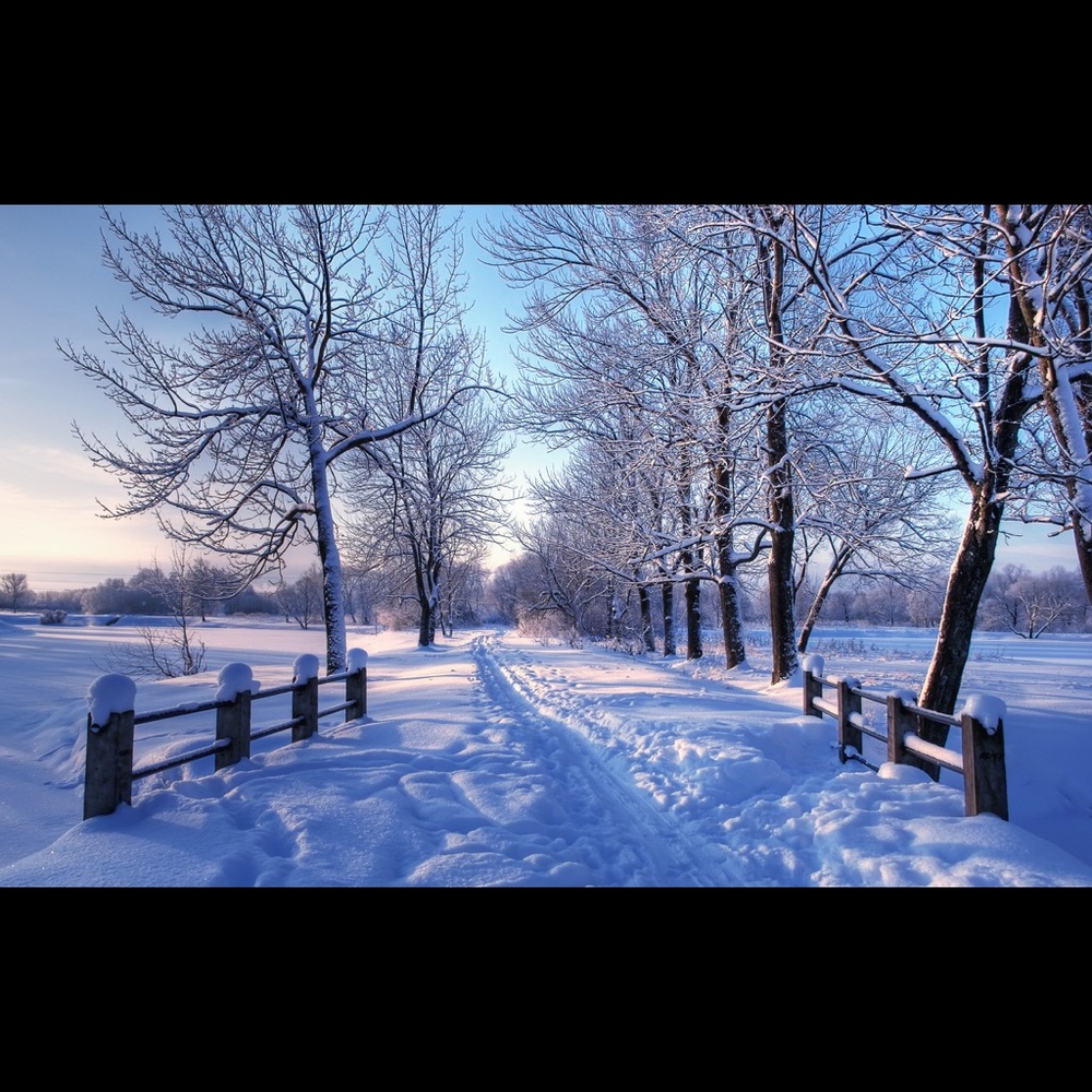 Meet your Posher, Johanna